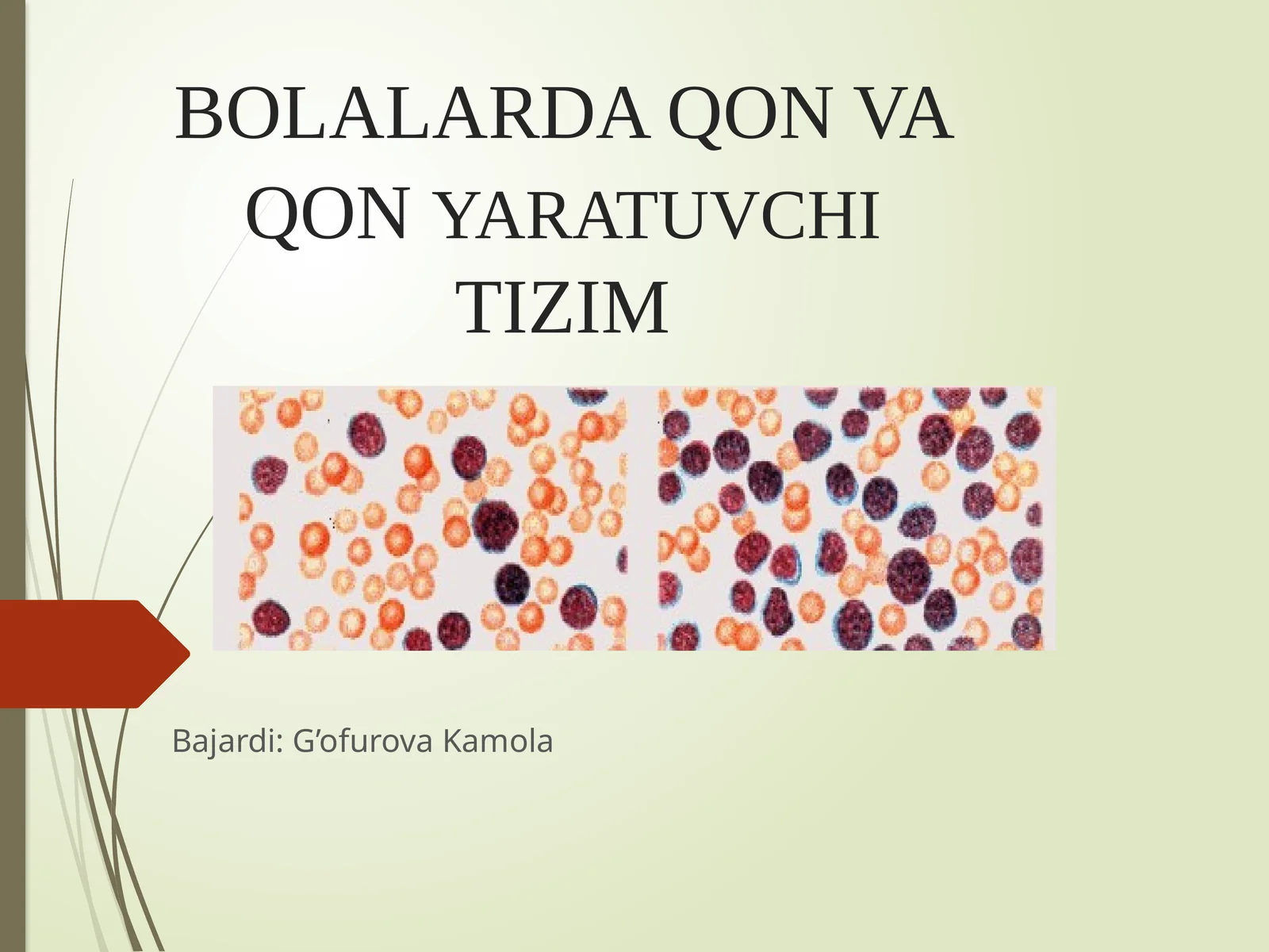 BOLALARDA QON VA QONYARATUVCHITIZIM