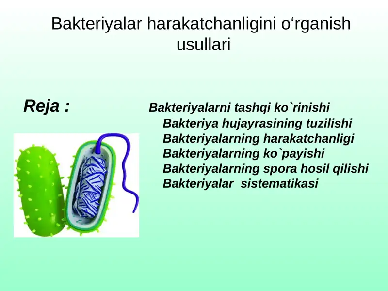 Bakteriyalar harakatchanligini o‘rganish usullari