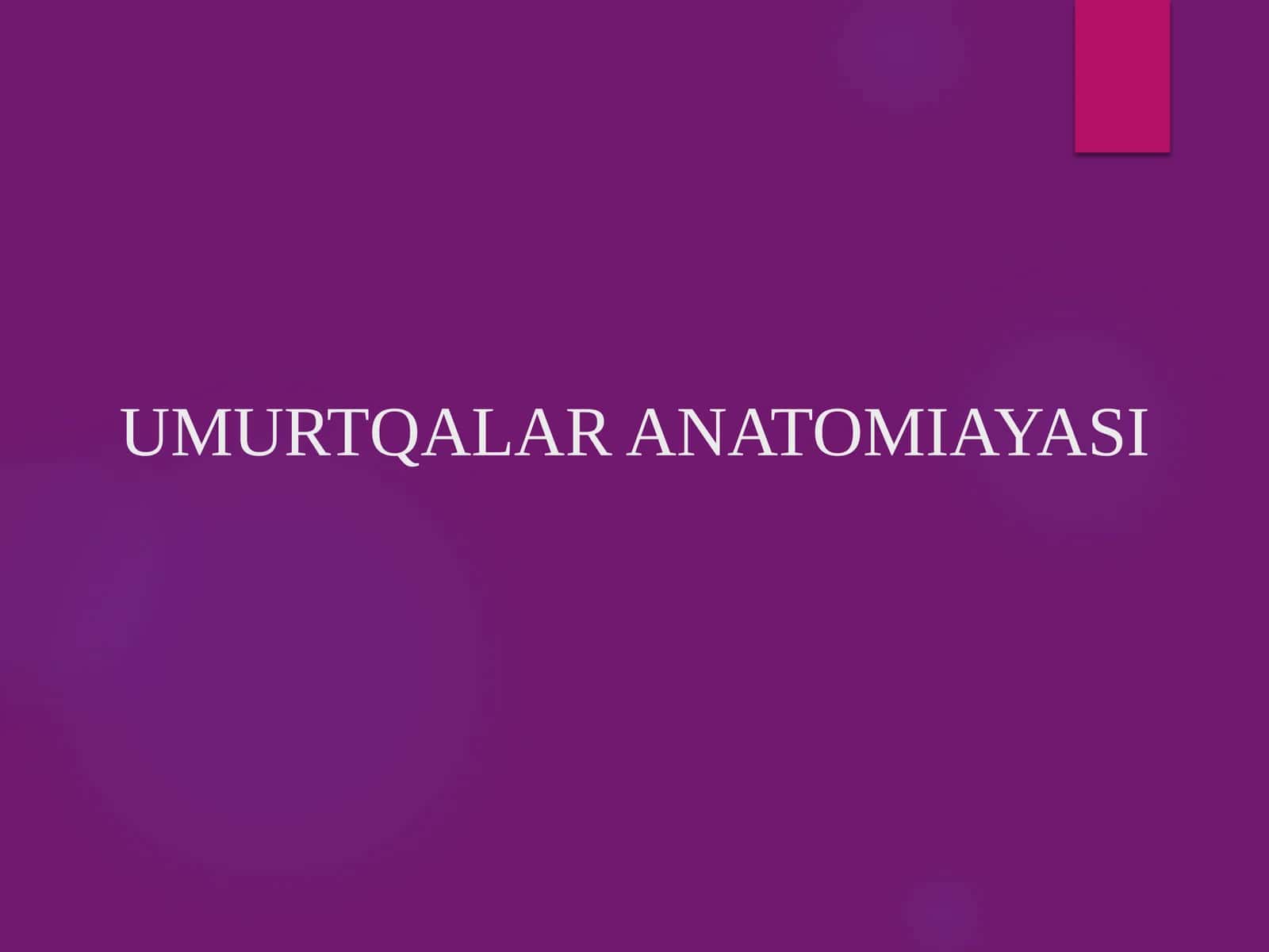 UMURTQALAR ANATOMIYASI PREZENTATSIYA