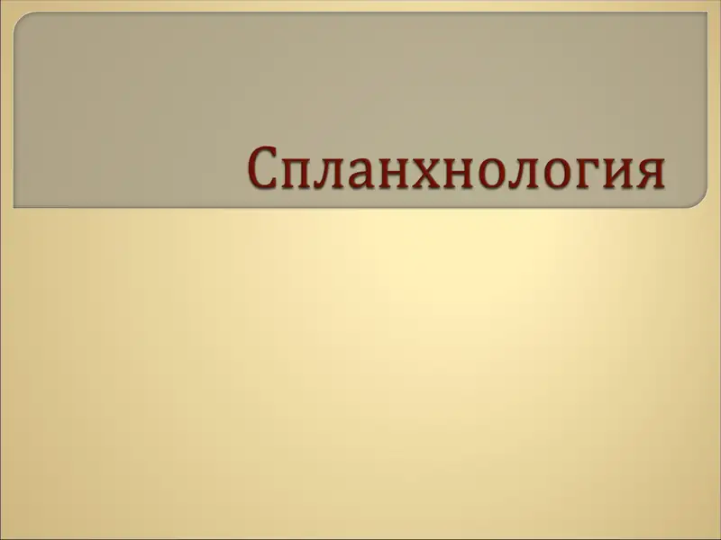 Спланхнология