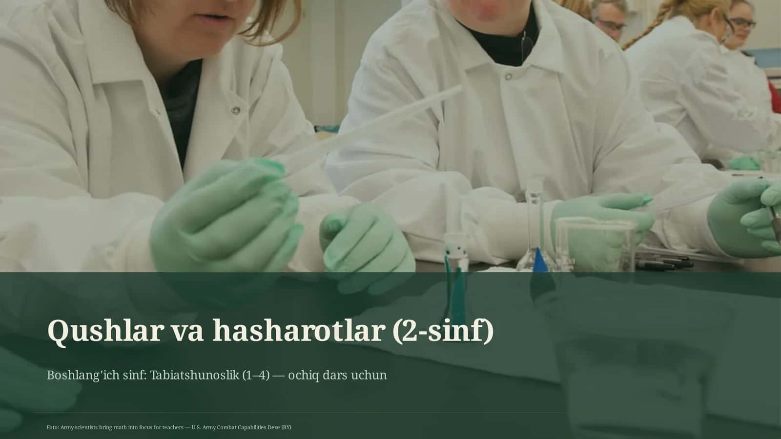 Qushlar va hasharotlar (2-sinf)