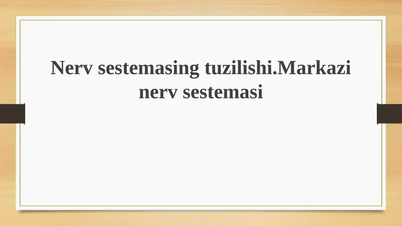 Nerv sistemasi tuzilishi