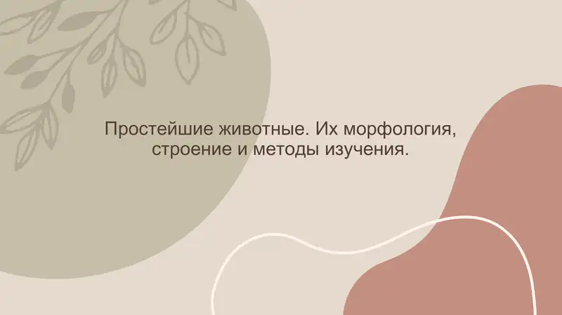 Простейшие животные. Их морфология, строение и методы изучения.