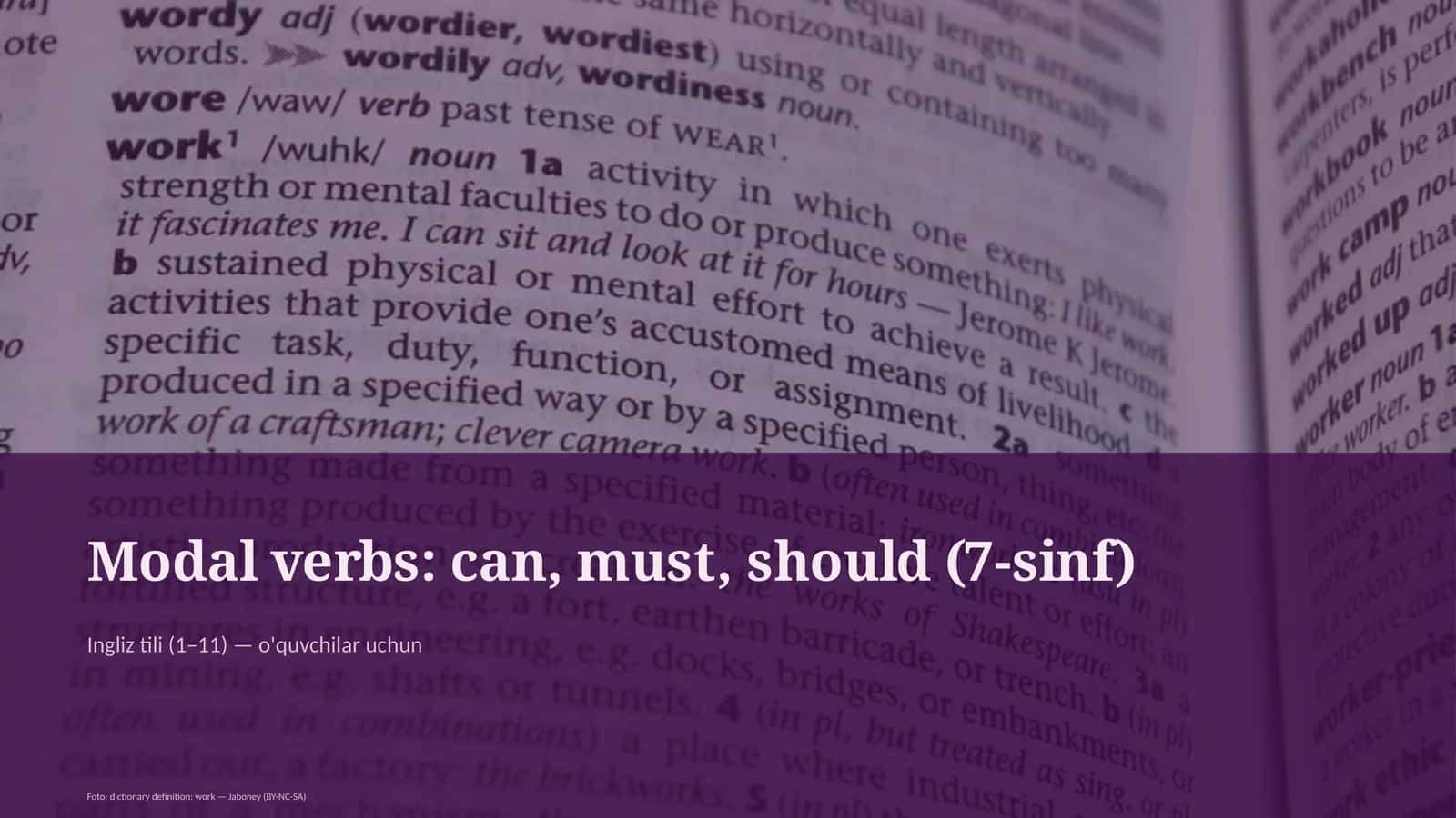 Modal verbs: can, must, should (7-sinf)