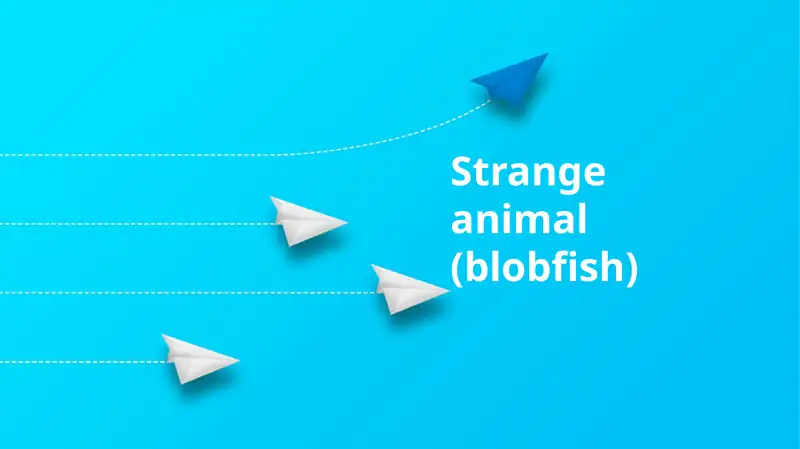 Blobfish: An Introduction to a Deep-Sea Oddity