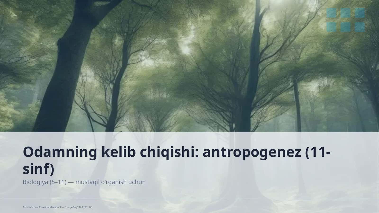 Odamning kelib chiqishi: antropogenez (11-sinf)