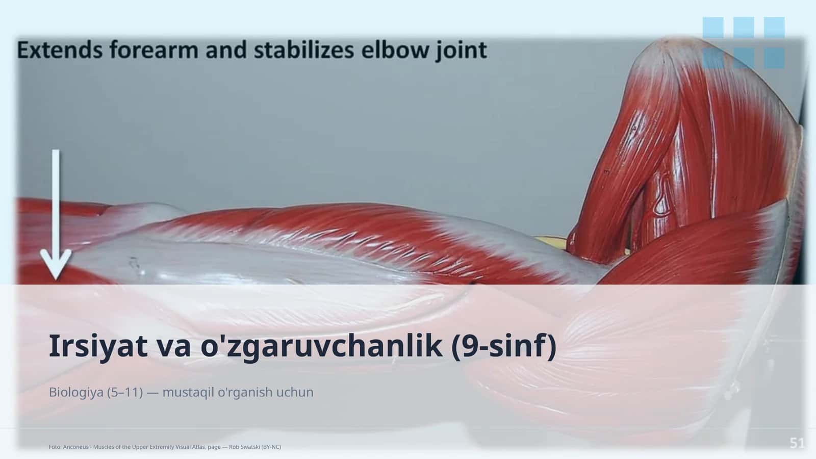 Irsiyat va o'zgaruvchanlik (9-sinf)