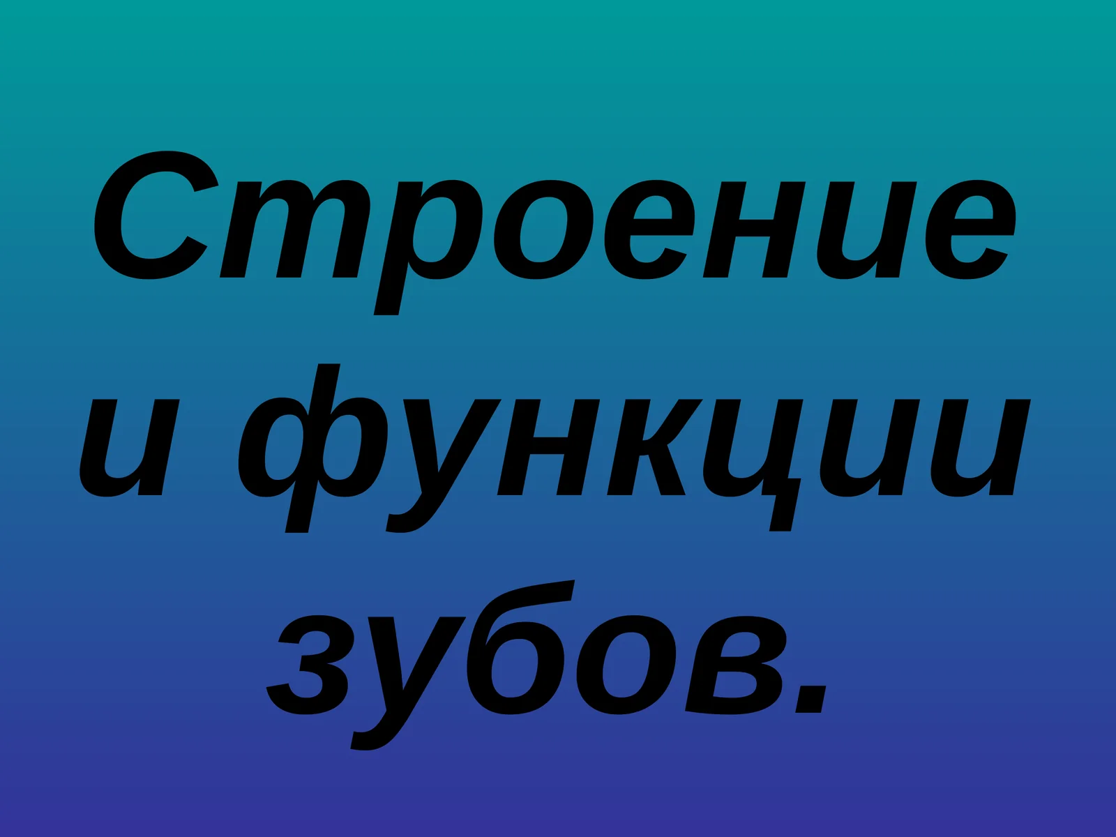 Строение и функции зубов