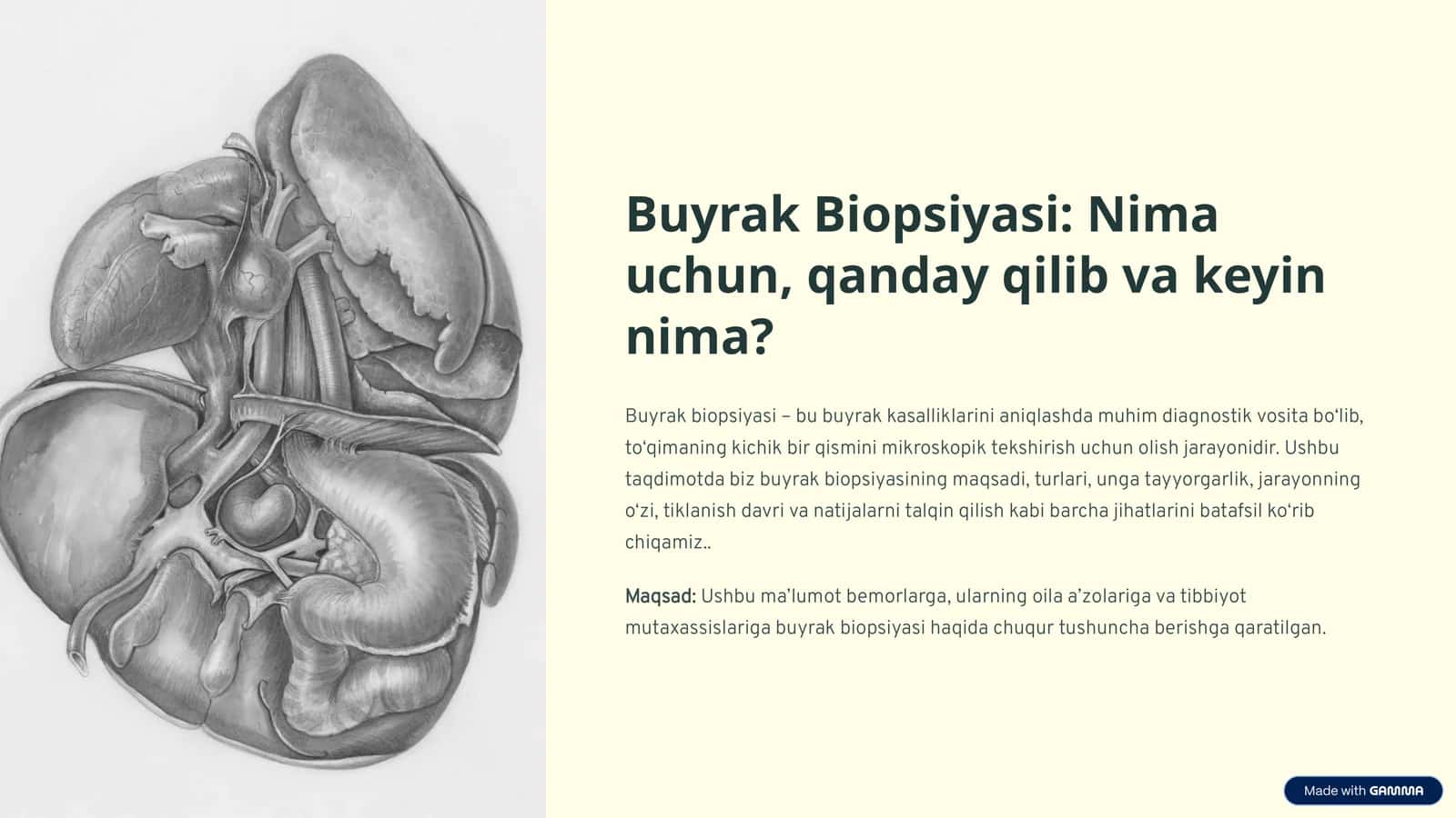 Buyrak Biopsiyasi