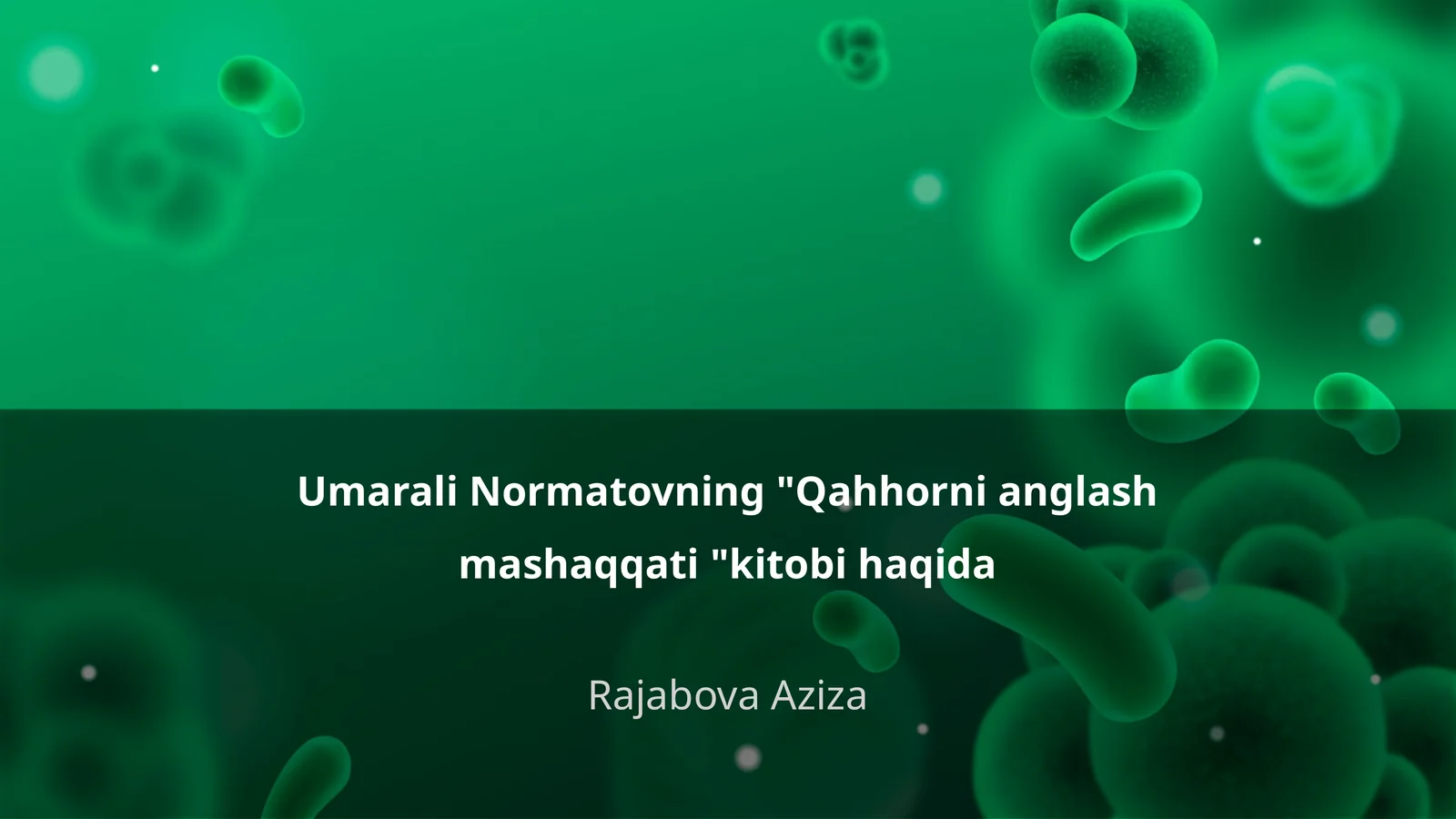 Qahhorni anglash mashaqqati kitobi haqida