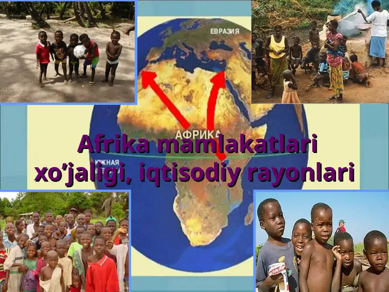 Afrika mamlakatlari xo’jaligi, iqtisodiy rayonlari