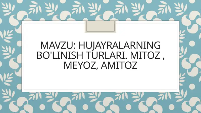 Hujayralarning bo'linish turlari. mitoz , meyoz, amitoz