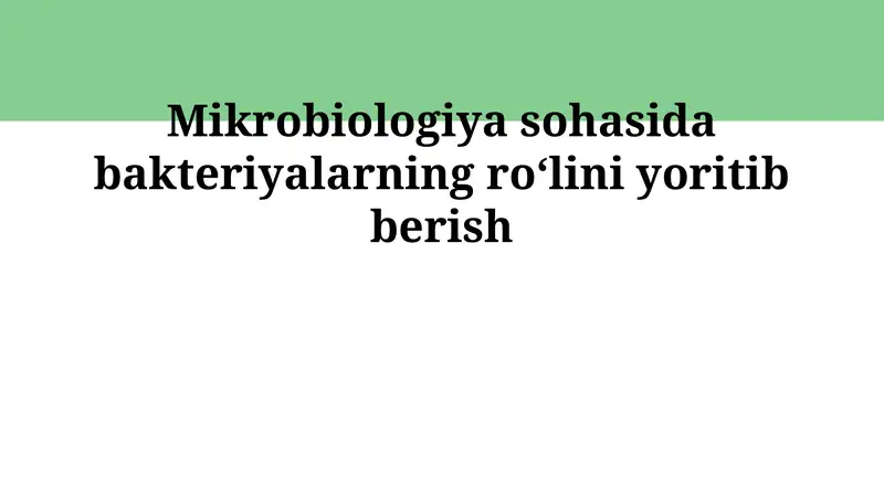 Bakteriyalar