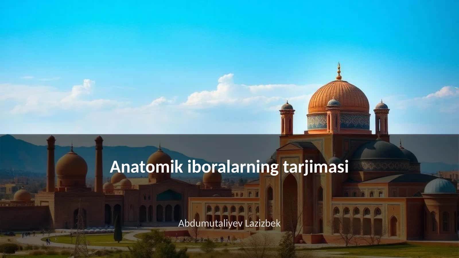 Anatomik iboralarning tarjimasi
