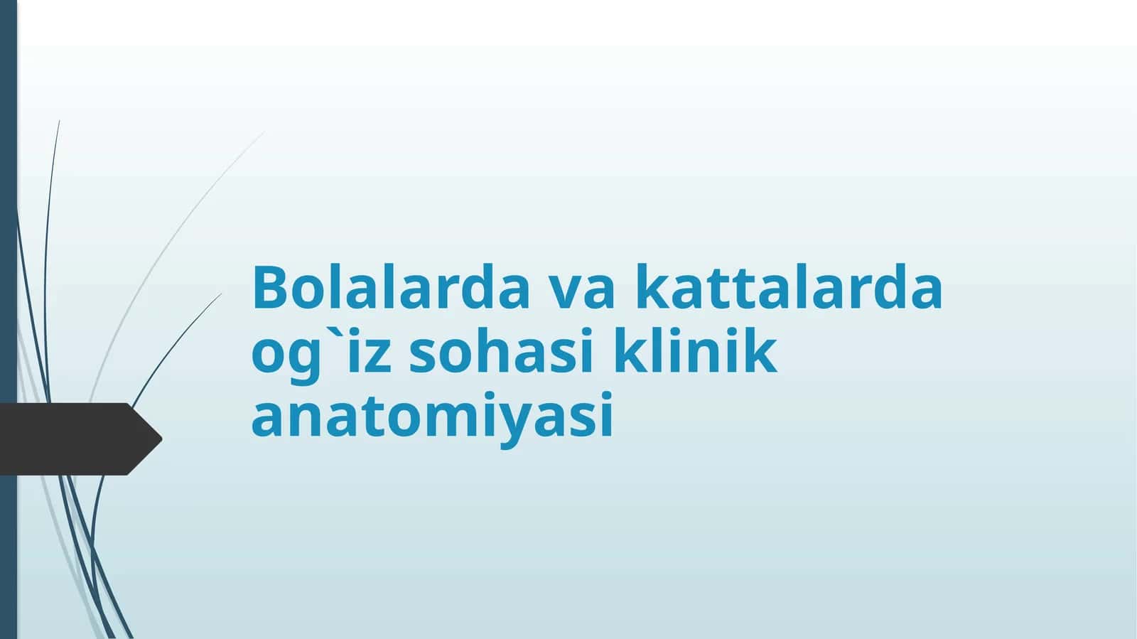 Og`iz sohasi anatomiyasi