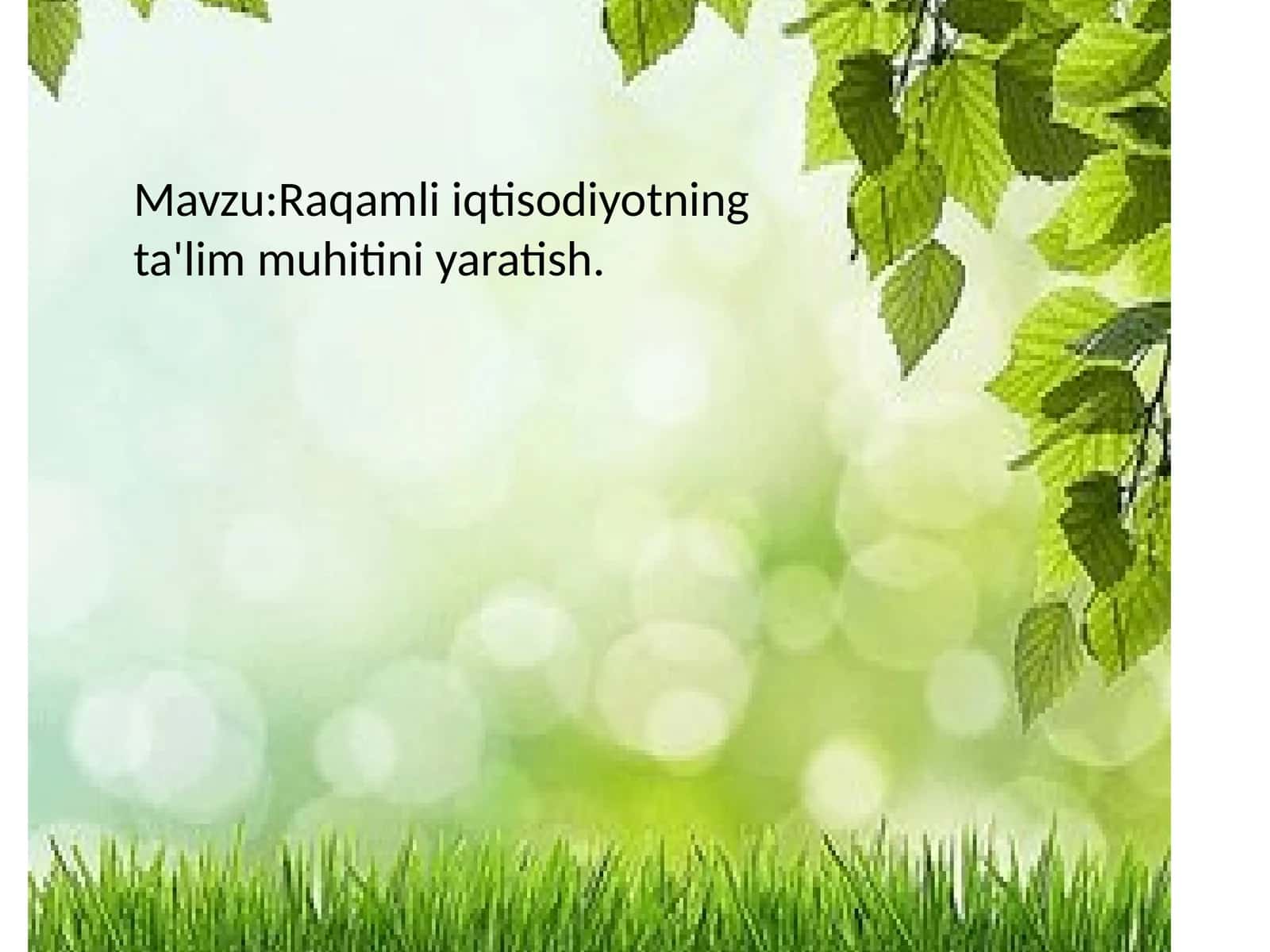 Raqamli iqtisodiyotning ta'lim muhitini yaratish