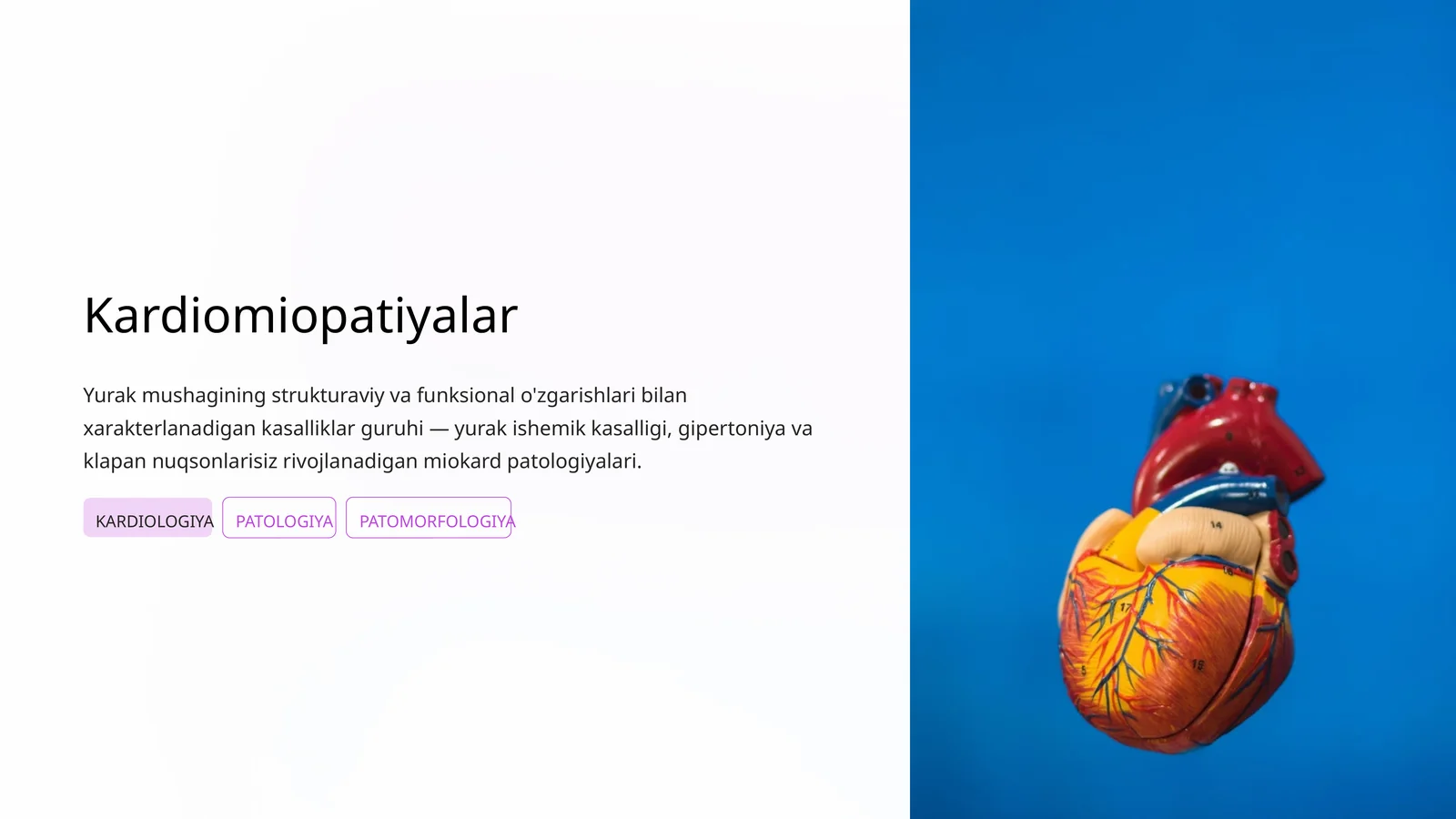 Kardiomiopatiyalar