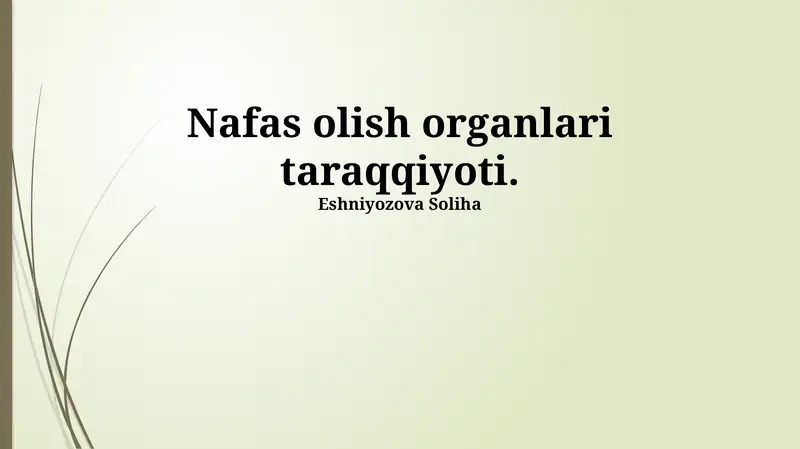 Nafas olish organlari taraqqiyoti