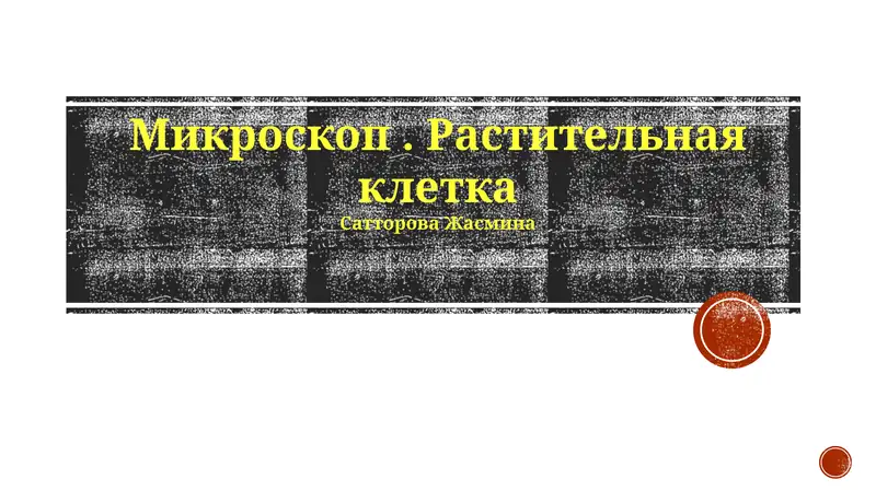 Растительная клетка