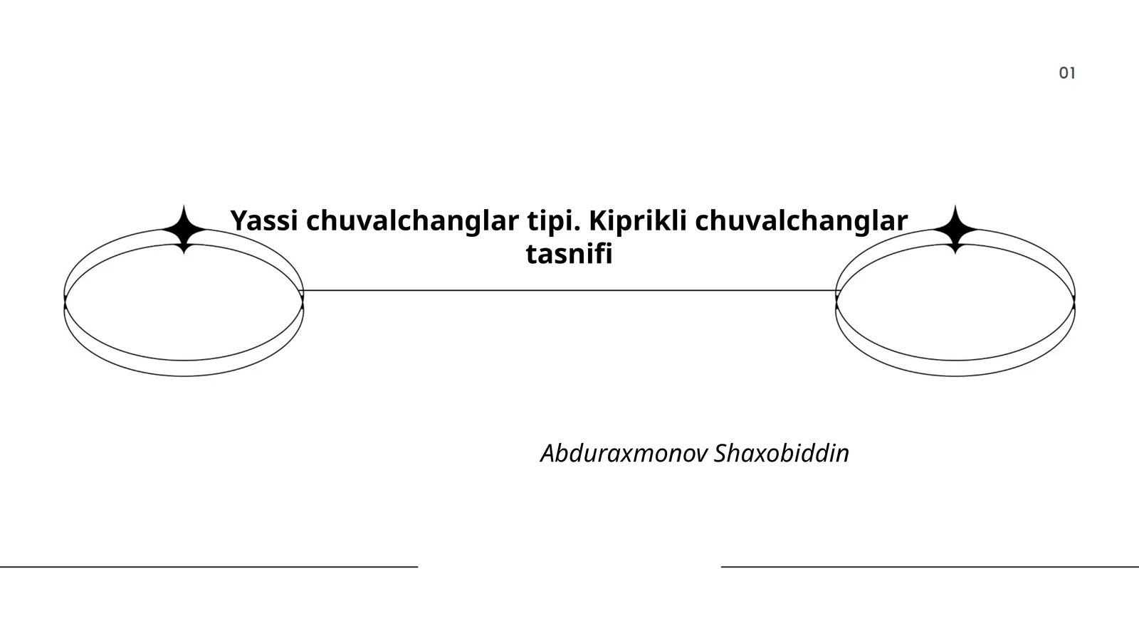 Yassi chuvalchanglar tipi. Kiprikli chuvalchanglar tasnifi