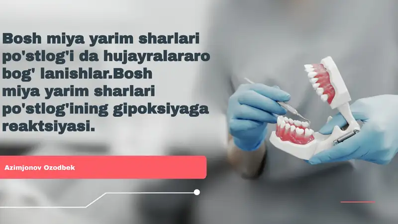 Bosh miya yarim sharlari po'stlog'i da hujayralararo bog' lanishlar.Bosh miya yarim sharlari po'stlog'ining gipoksiyaga reaktsiyasi
