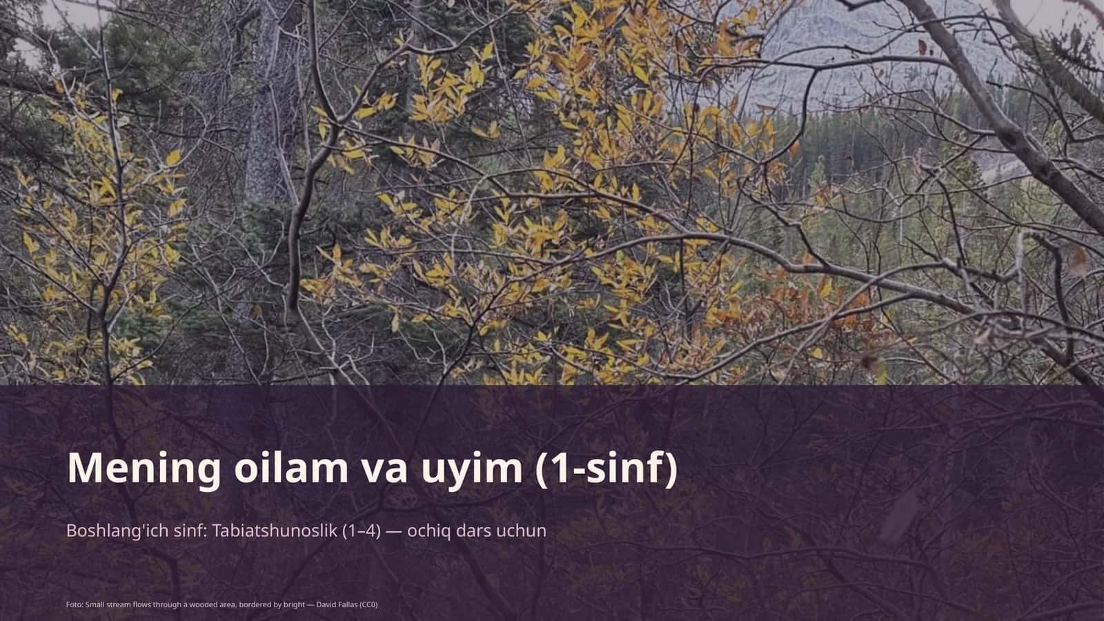 Mening oilam va uyim (1-sinf)