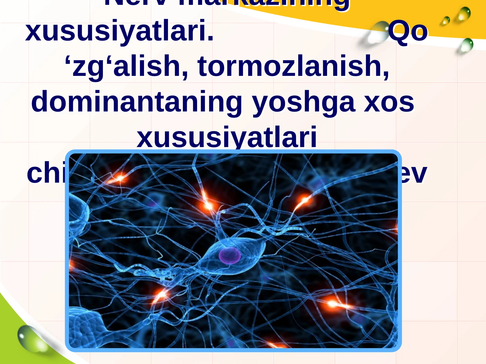 Nerv markazining xususiyatlari. Qo ‘zg‘alish, tormozlanish, dominantaning yoshga xos xususiyatlarichi