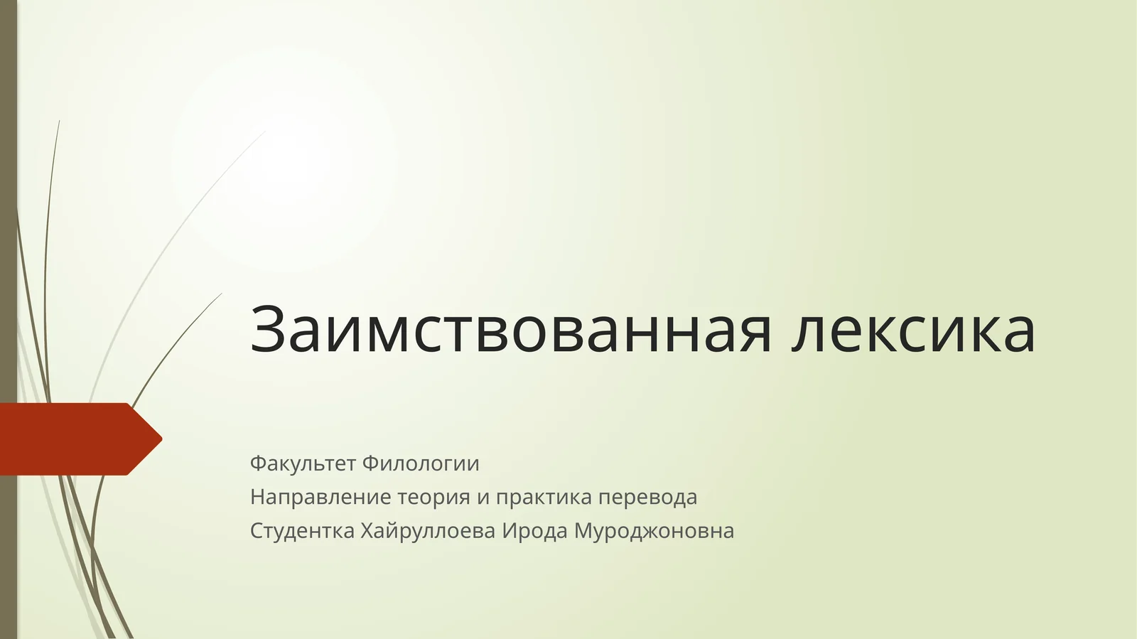 Заимствованная лексика