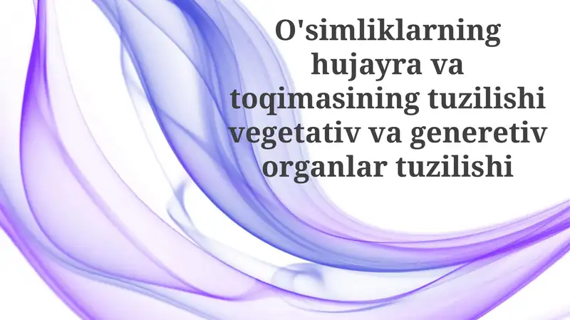 O'simlik hujayrasi tuzilishi