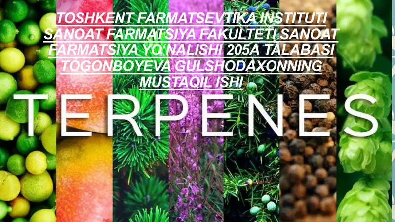 Terpen birikmalari