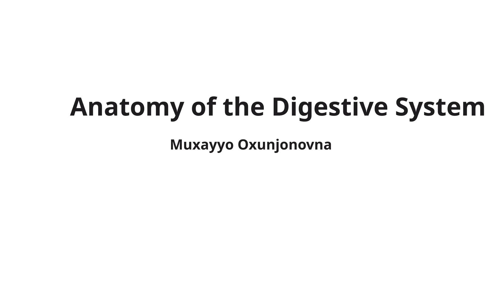 Anatomy of the Digestive System