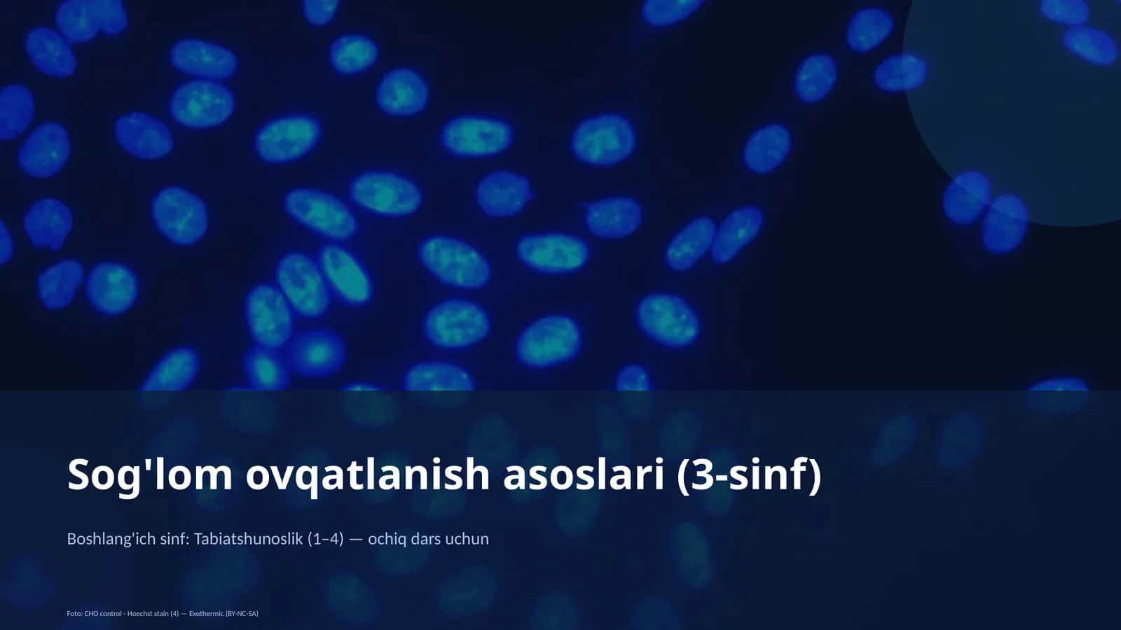 Sog'lom ovqatlanish asoslari (3-sinf)