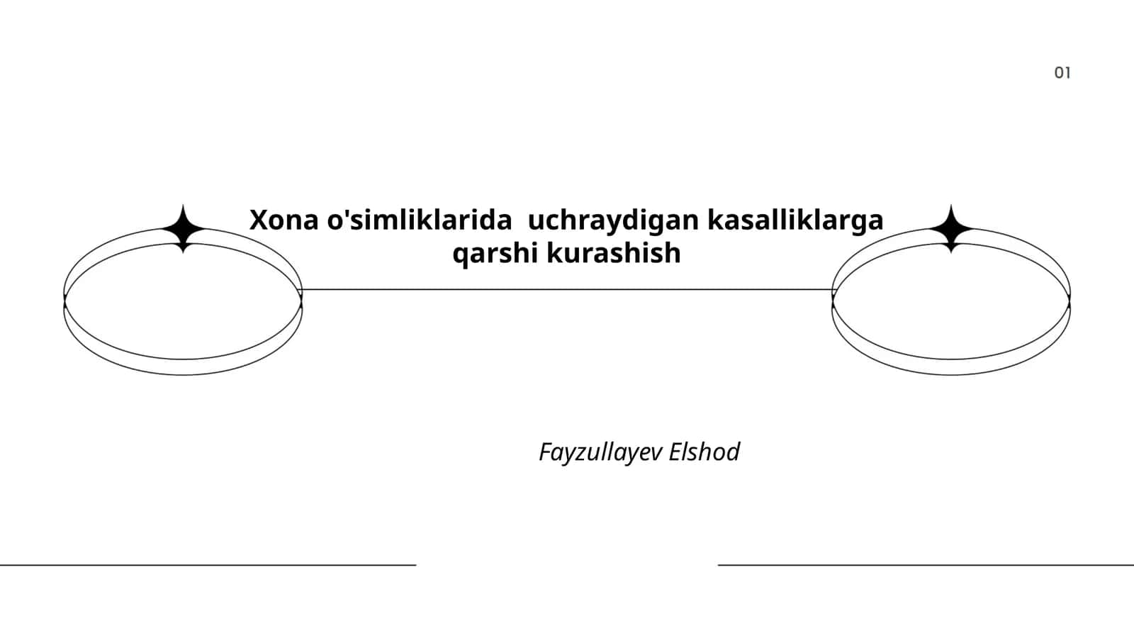 Zamburug'larga qarshi kurash