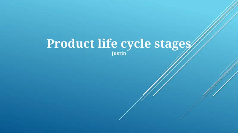Product life cycle stages