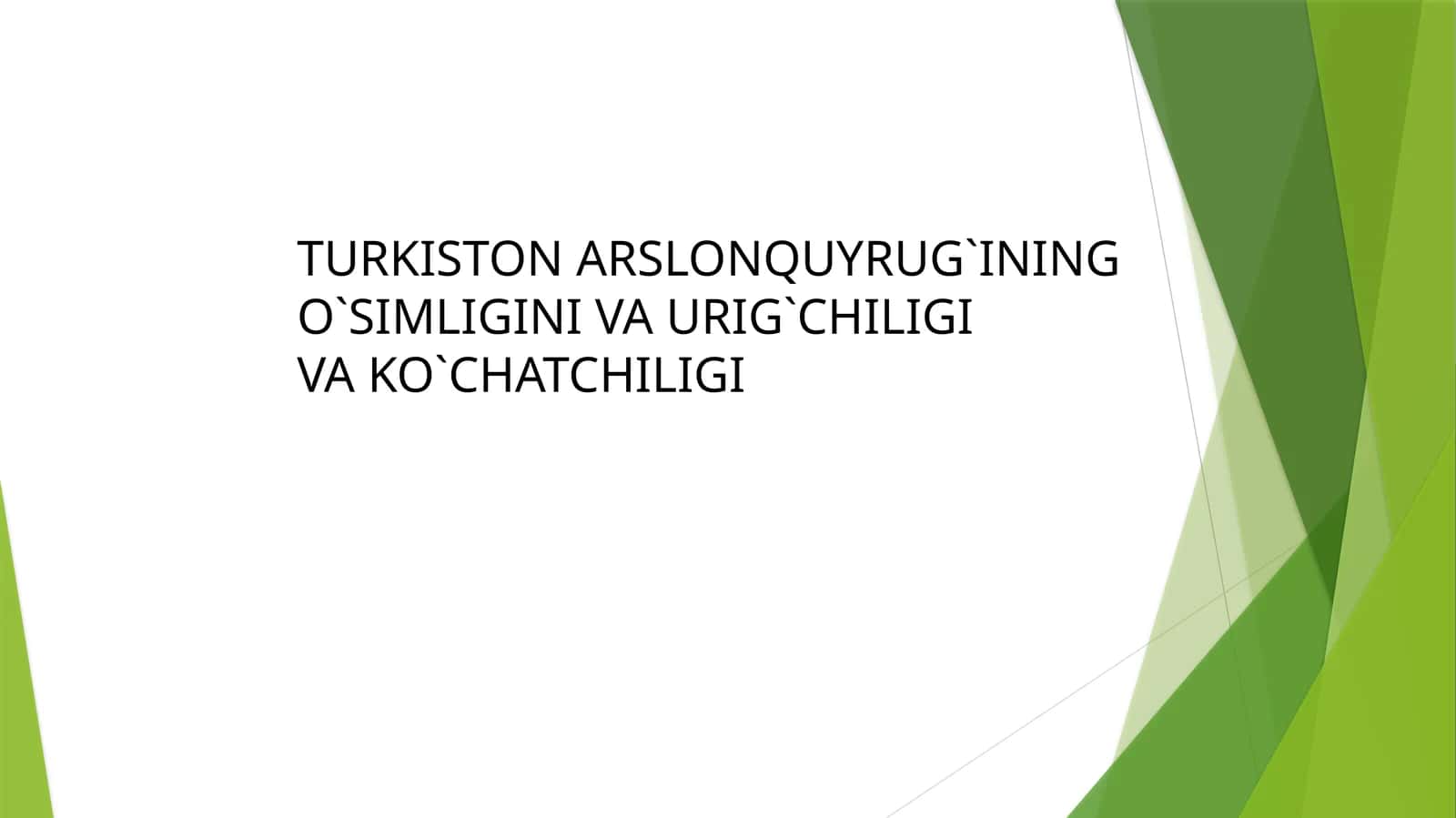 Turkiston Arslonquyrug`ining O`simligini va Urig`chiligi