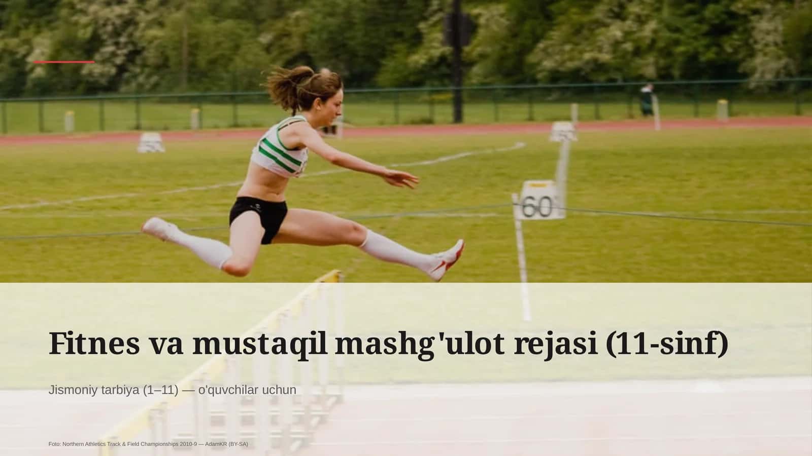 Fitnes va mustaqil mashg'ulot rejasi (11-sinf)