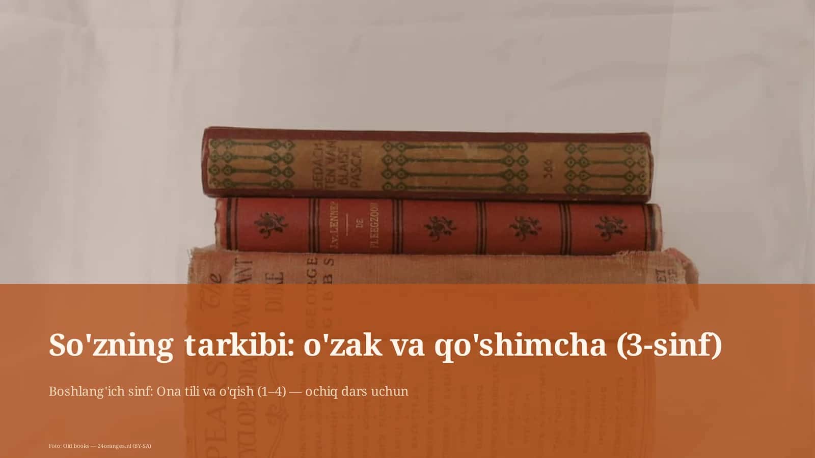 Ta'lim dasturi: Ona tili va o'qish