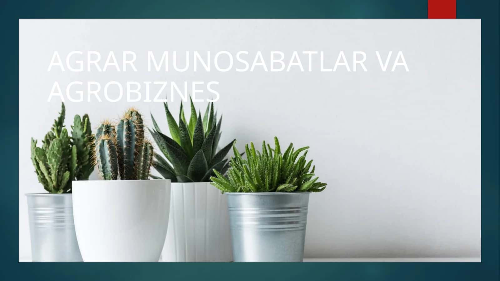 AGRAR MUNOSABATLAR VA AGROBIZNES haqida slayd
