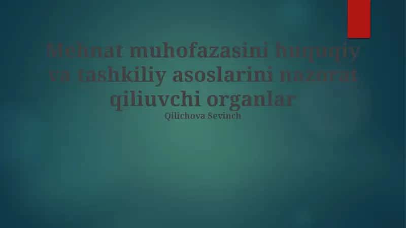 Mehnat muhofazasini huquqiy va tashkiliy asoslarini nazorat qiliuvchi organlar