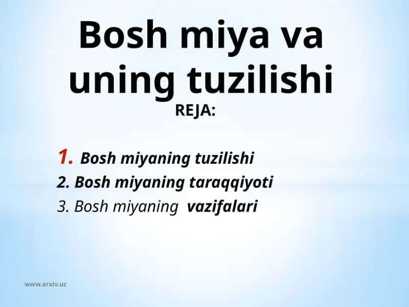 Boshmiyavauningtuzilishi