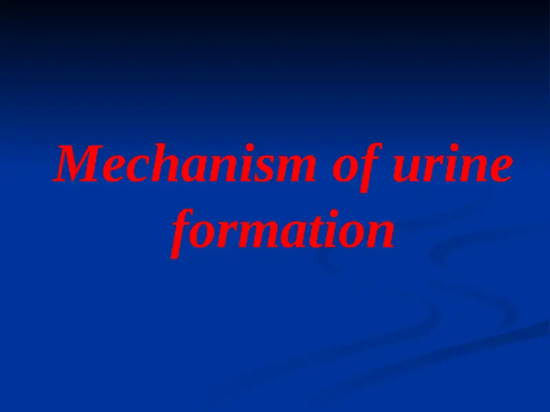 Mechanism of urine formation