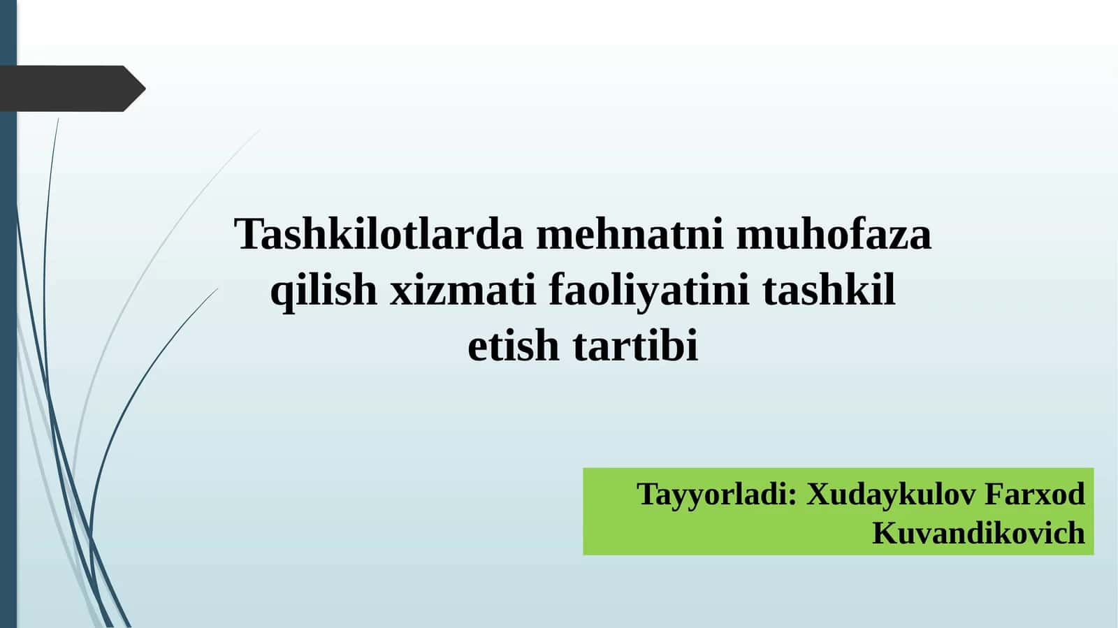 Tashkilotlardamehnatnimuhofazaqilishxizmatifaoliyatini tashkitletishtartibi