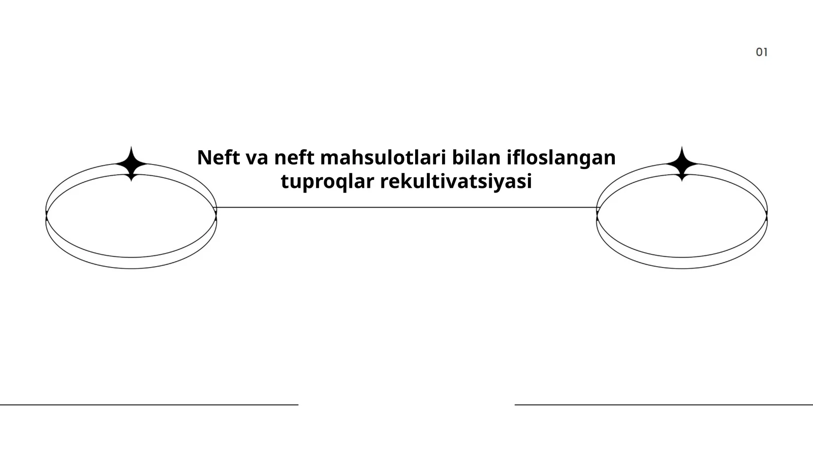 Neft va neft mahsulotlari bilan ifloslangan tuproqlar rekultivatsiyasi