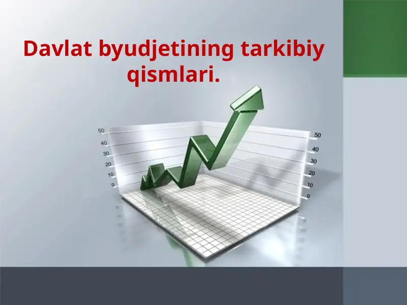 Davlat Byudjeti Tuzilishi