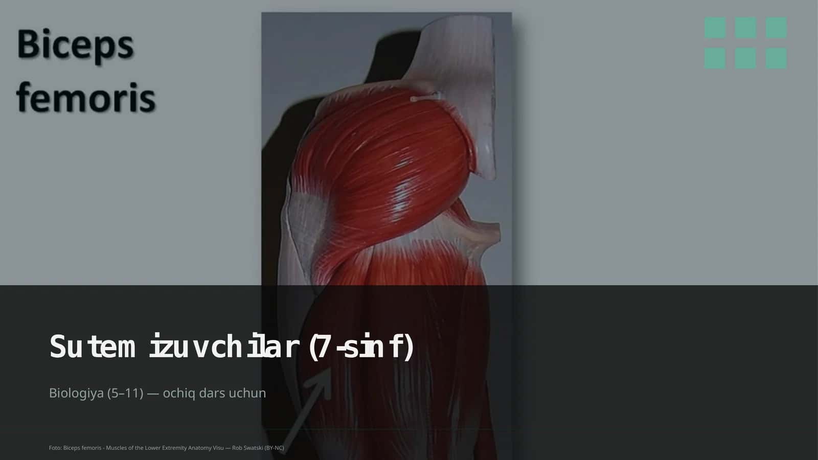 Biologiya (5–11) — ochiq dars uchun