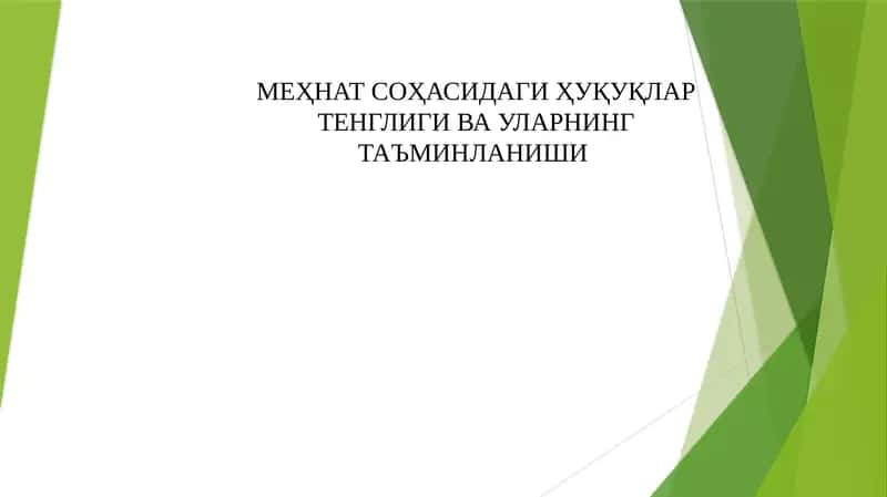 МЕҲНАТ СОҲАСИДАГИ ҲУҚУҚЛАР ТЕНГЛИГИ ВА УЛАРНИНГ ТАЪМИНЛАНИШИ