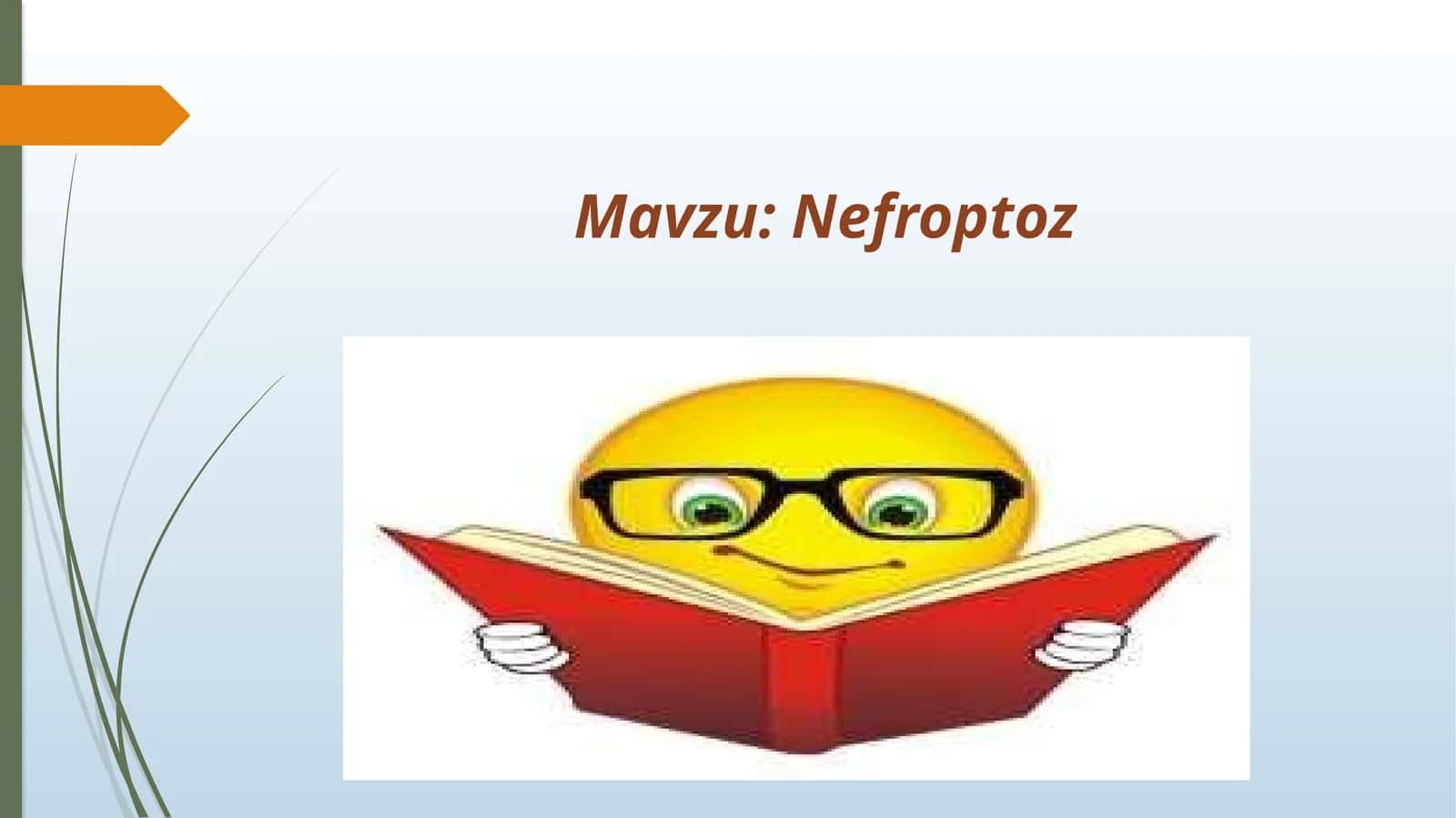 Nefroptoz