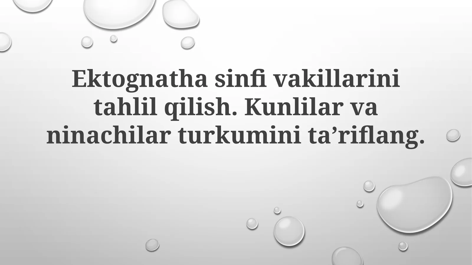 Ninachilar turkumi