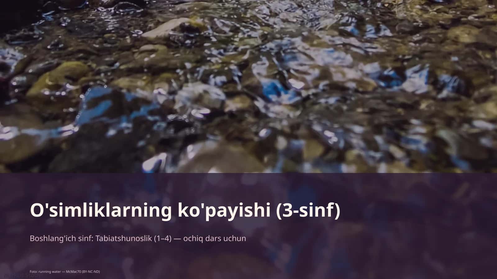 O'simliklarning ko'payishi (3-sinf)