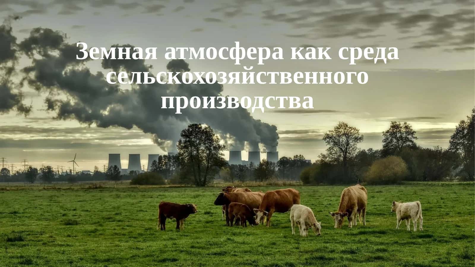 Земная атмосфера как среда сельскохозяйственного производства